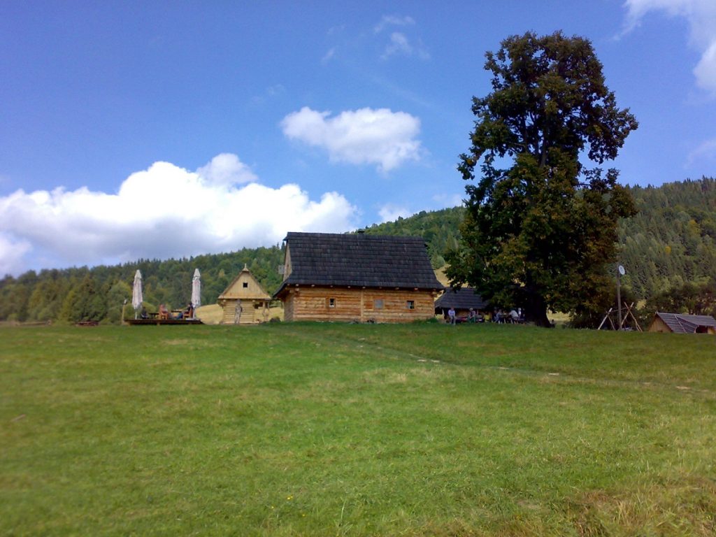 salas-zbojska-2008-2