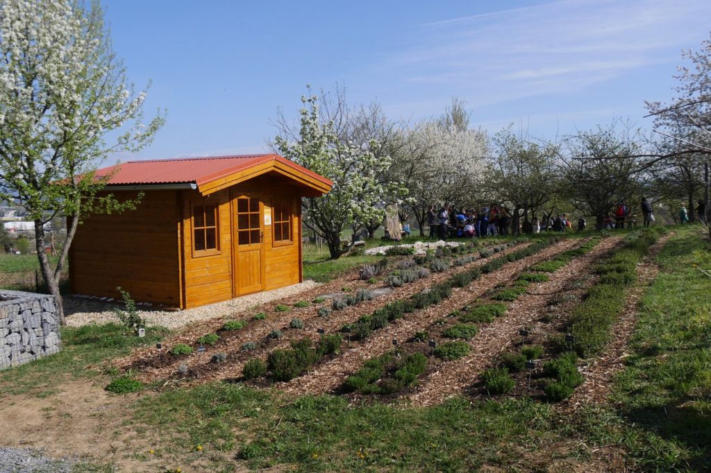 Sad, záhrada, záhradný domček