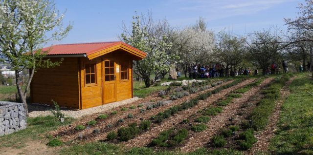 Sad, záhrada, záhradný domček
