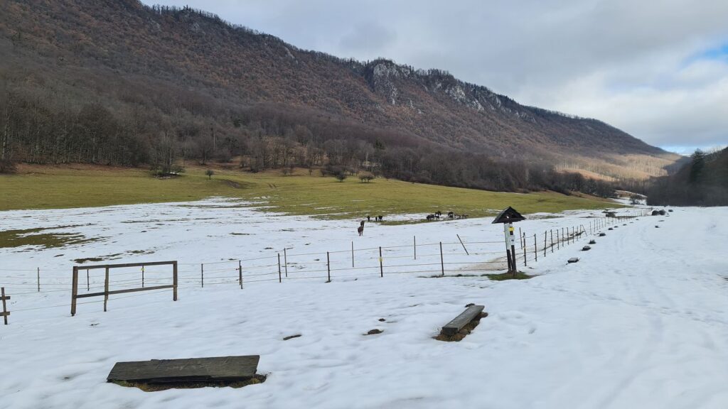 Sysľovisko Biele vody v zime