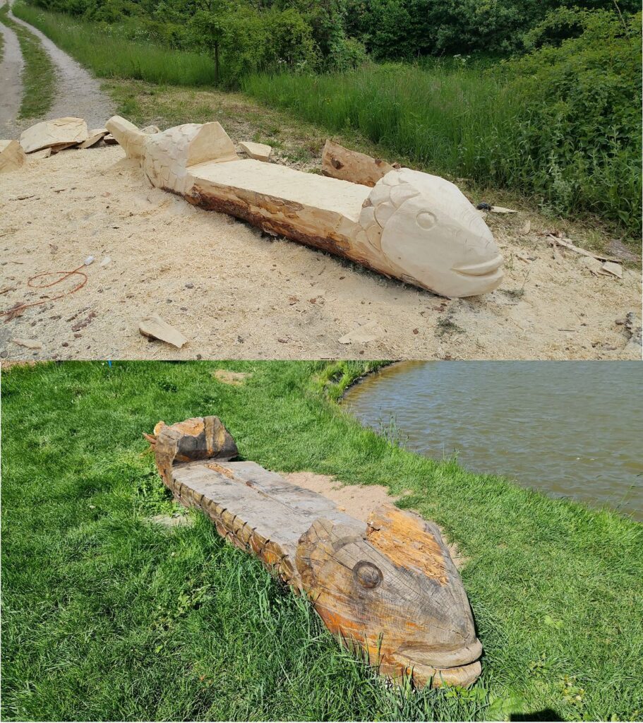 Rybia lavička v roku 2016 a 2023