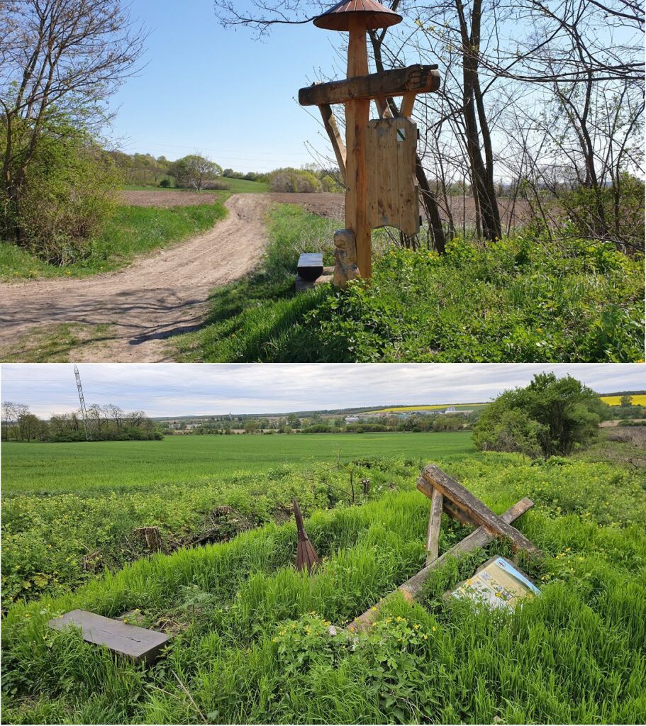 Smerovník pod Maginhradom v roku 2019 a 2024