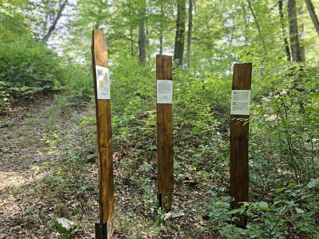 Náučný chodník na hrad Drienok