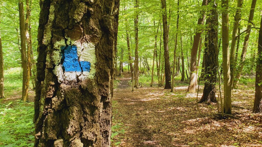 Chodník na Starý Jelšavský hrad