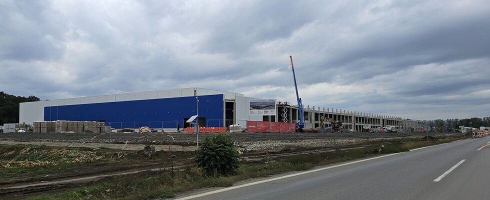 Winkelmann Rimavská Sobota