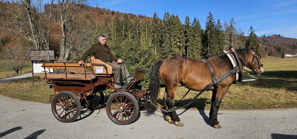 Vozenie kočmi - Muránska planina