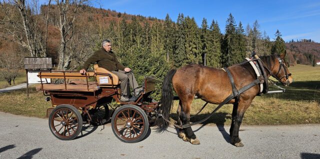 Vozenie kočmi - Muránska planina