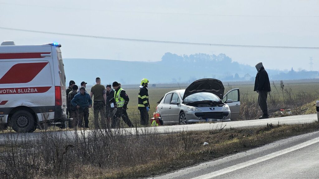 Nehoda Včelince, hasiči