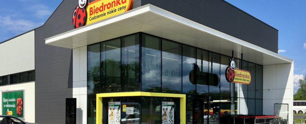 Biedronka