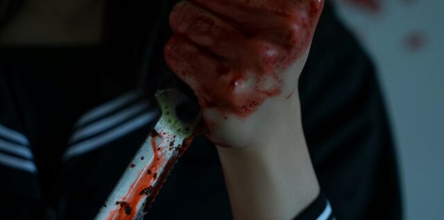 Polícia, útok nožom, vražda