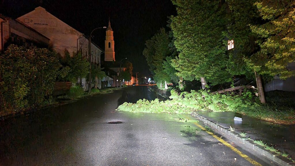 Zlomený strom na ceste