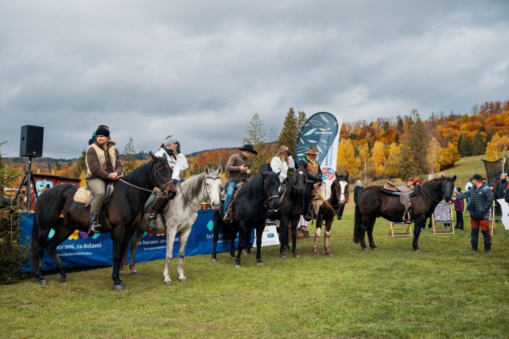 Huculská magistrála, kone