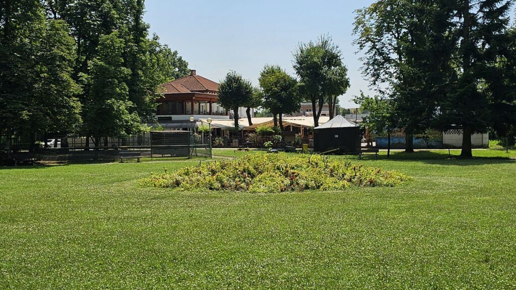 Mestský park Lučenec - Biela labuť