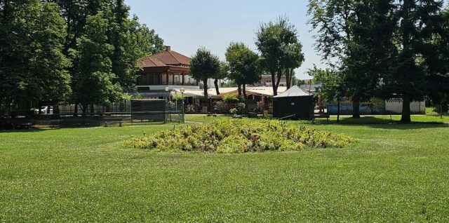 Mestský park Lučenec - Biela labuť