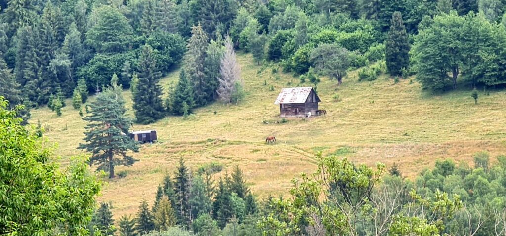 Maringotka M. Šimečku na lúke nad Muránskou Hutou