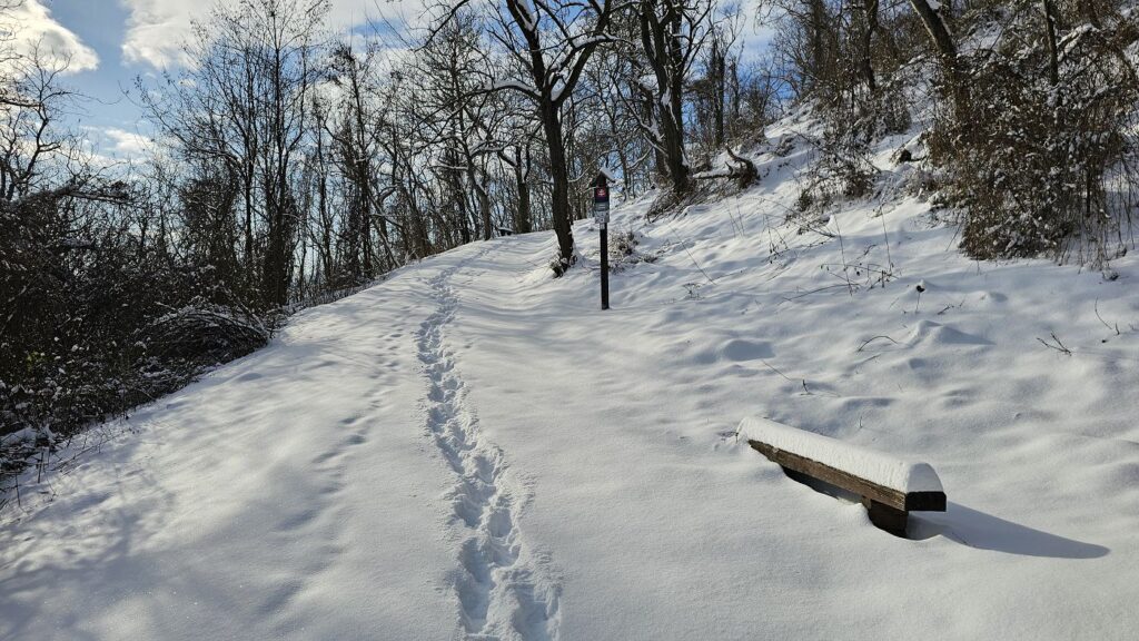 Prístupová cesta ha hrad Hajnáčka