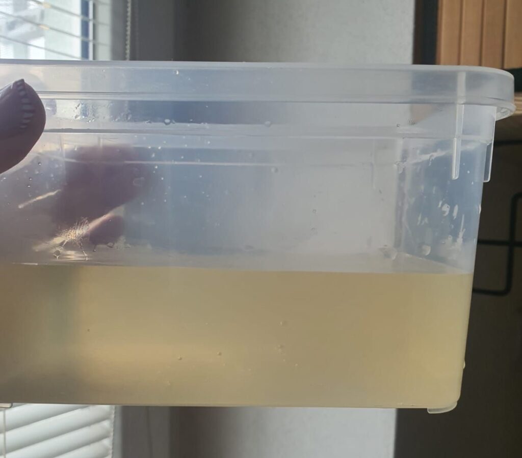 Špinavá žltá voda Revúca