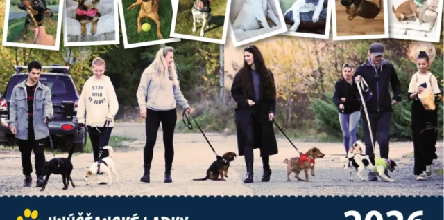 Hnúšťanské labky, útulok