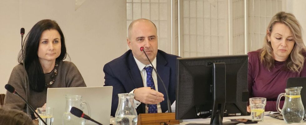 Lucia Búšová, Július Buchta, Lucia Medvecová