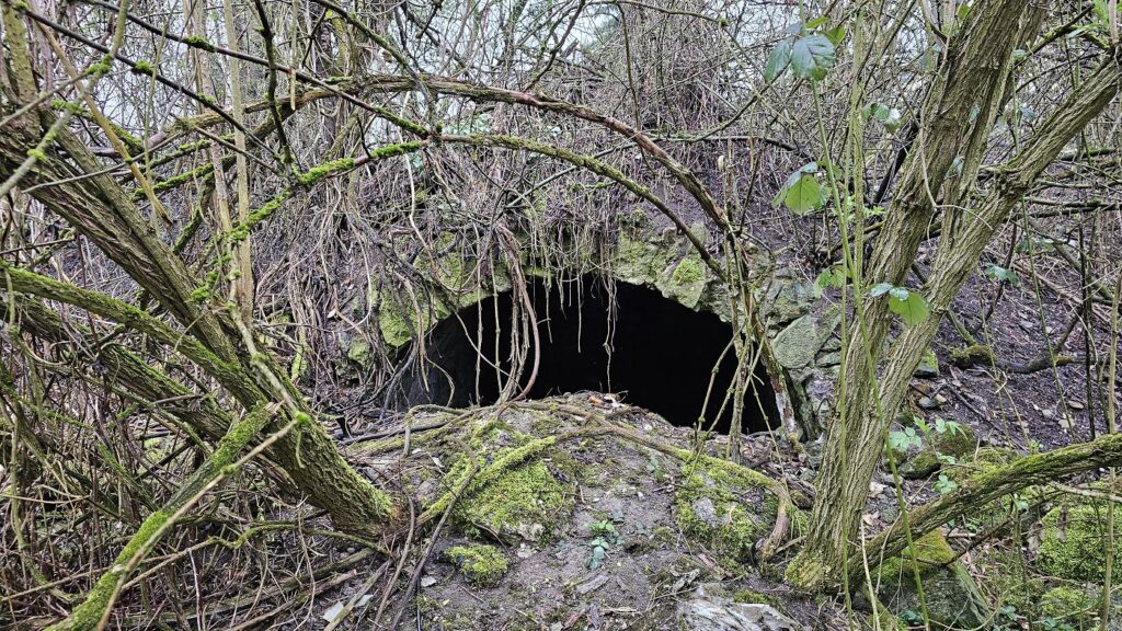 Turecký vodný hrad, Sobôtka, pivnica