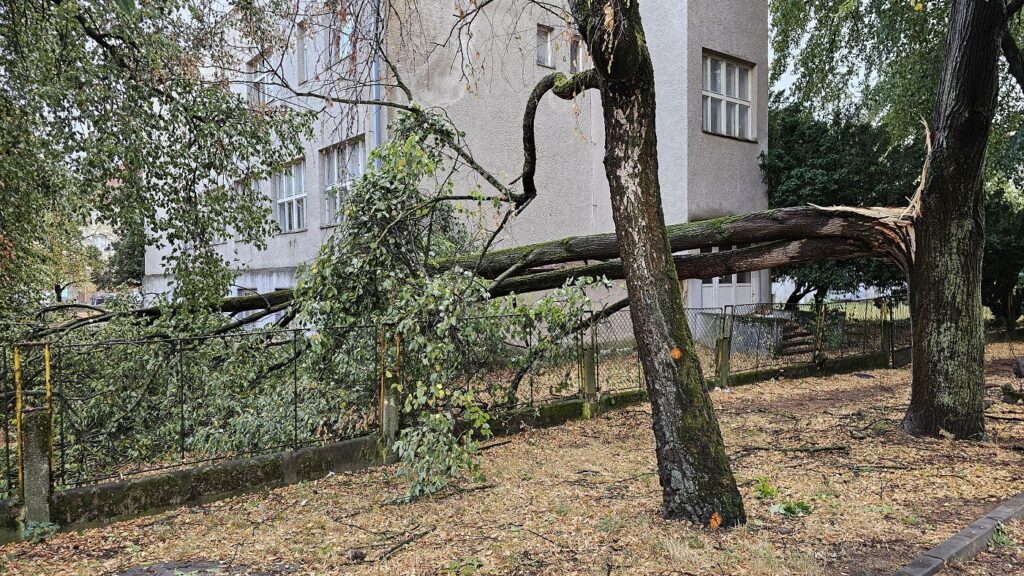 Zlomený strom na Rožňavskej ulici